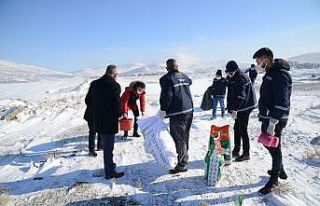 Kırşehir Belediyesi’nden yaban hayvanlarına mama...