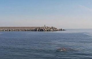 Kış ayında denize girdi