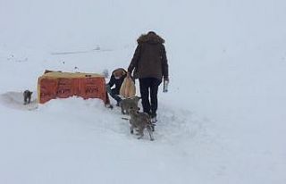 Kış gününde içleri ısıtan, insanlık ölmemiş...