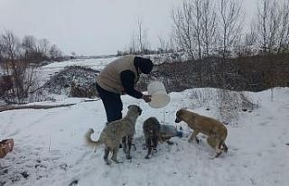 Kısıtlamada aç kalan hayvanları elleriyle beslediler
