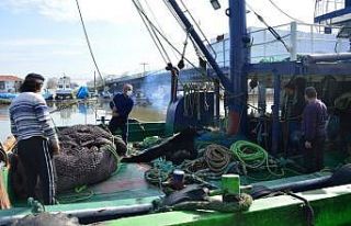 Kısmi av yasağının sona ermesinin ardından Sakaryalı...