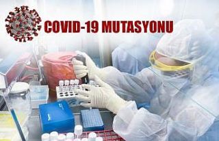 KKTC’de mutasyonlu virüs saptandı