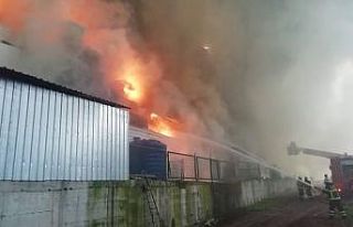 Kocaeli’de 3 bin 500 metrekarelik tavuk çiftliği...
