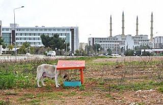 Konyaaltı Belediyesi’nden, AÜ’ye beslenme odağı