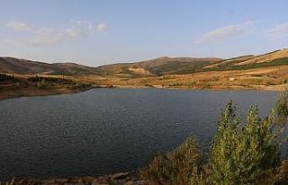 Konya’da tarımsal sulama destekleriyle endemik...