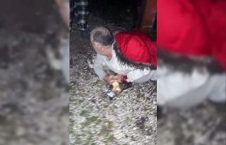 Köpeğin saldırdığı vatandaşı Jandarma kurtardı