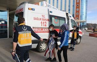 Köpek ısıran 1 çocuk kaçtı, 2 çocuk hastanede...