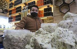 Korona virüs otlu peyniri de etkiledi