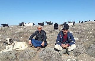 Korona virüsten uzak bir yaşam