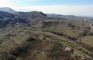 Koronanın pik yaptığı Samsun’da 2 mahalle karantinada