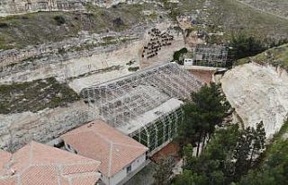 Koruma altındaki 278 kelaynak doğaya salındı