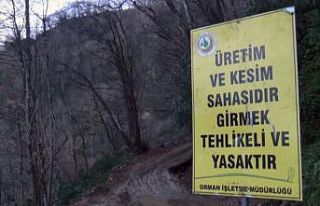 Köylü ormanına sahip çıktı, usulsüz kesim durduruldu