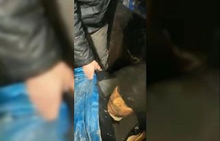 Köylüler hasta komşuları için donmayı göze...