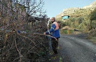 Kozan’da yol kenarlarındaki ağaçlar budanıyor
