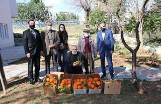 Kozan’ın yöresel ürünleri ’e- ticaret’ ile...