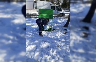 Kulu’da sokak hayvanları unutulmadı