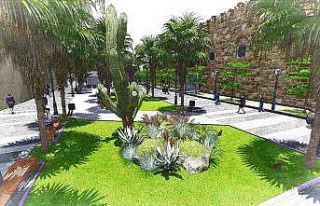 Kuşadası Belediyesi’nden palmiye açıklaması