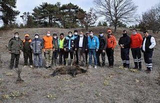 Kütahya’da yaban domuzu av sürecini başlatıldı