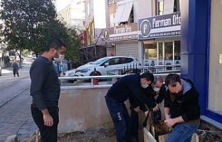 Kuyuya düşen kedinin yardımına itfaiye ekipleri...