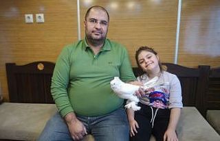 Lüks otomobil fiyatına güvercinlere beş yıldızlı...