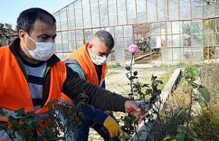 Manavgat üreterek tasarruf ediyor