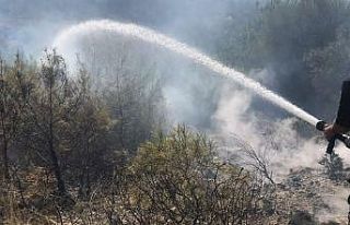 Manavgat’ta kırsal alan yangını