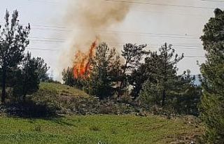 Manavgat’ta orman yangını