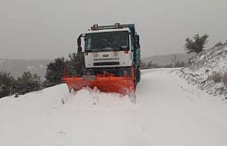 Manisa’da kar nedeniyle kapanan yollar açıldı