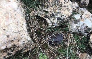 Mardin’de jandarmanın dikkati faciayı önledi:...