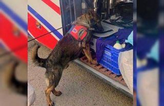 Mardin’de yolcu otobüsünde uyuşturucu ele geçirildi