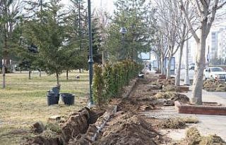 Melikgazi’nin parklarına ağaç ve süs bitkisi...