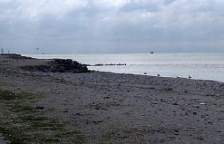 Menekşe Sahili martılara kaldı