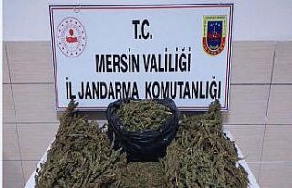 Mersin’de 13 kilo kubar esrar ele geçirildi