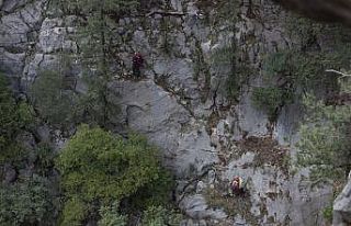 Mersin’de 150 metrelik uçurumda bir haftadır mahsur...