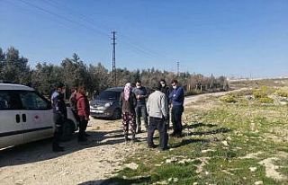 Mersin’de kırma Kangal cinsi 3 köpek ölü bulundu