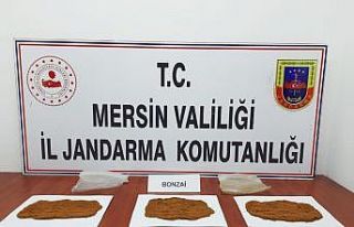 Mersin’de uyuşturucu operasyonu