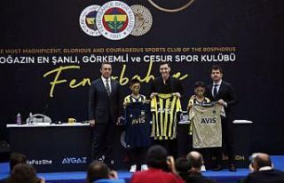 Mesut Özil imzalı çubuklu forma rekor kırdı