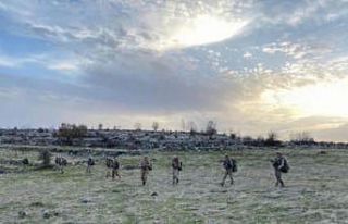 Mevziye tuzaklanmış EYP imha edildi