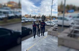 Meyve fidanı hırsızlığı jandarmaya yakalandı