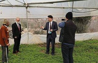 Mihalgazi ve Sarıcakaya’daki tarım alanlarında...