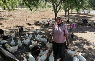 Mikrokredi kırsalda da kadınların hayatlarını...