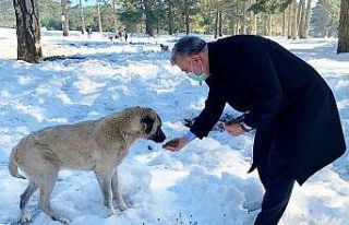 Milletvekili Dr. Mustafa Canbey, Can Dostlar Yaşasın...