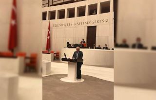 Milletvekili Dülger TBMM konuştu