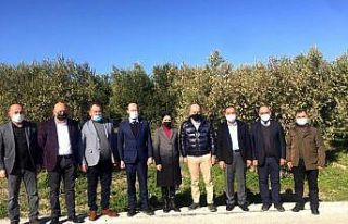 Milletvekili Işık zeytincileri dinledi