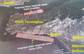 Milli Park’ta midye çiftliği tartışması