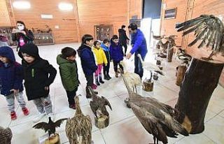 Minik öğrenciler kuşları inceledi