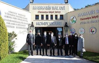 Muğla Valisi Tavlı, Marmaris Bal Evi’nde incelemelerde...