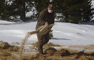 Muratdağı’nda yabani hayvanlar için yem bırakıldı