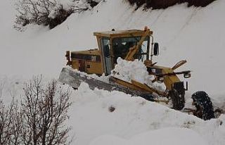 Muş’ta 12 köy yolu ulaşıma kapandı