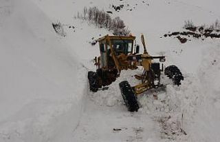 Muş’ta 5 köy yolu daha ulaşıma açıldı